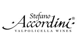 accordini stefano logo