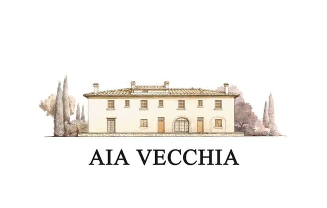 aia vecchia logo