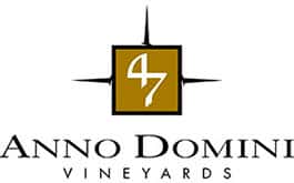 47 anno domini logo