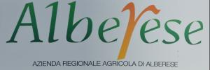 alberese logo