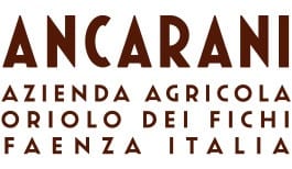 ancarani logo