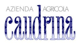 azienda agricola caudrina logo