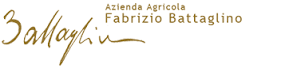 battaglino logo