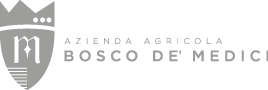 bosco de medici logo