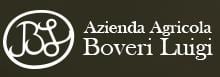 boveri logo