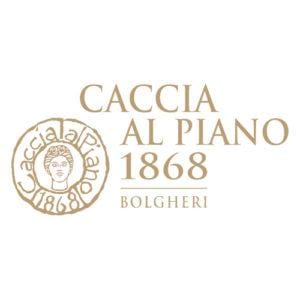 caccia al piano logo