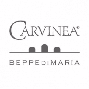 carvinea logo