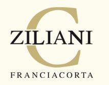 chiara ziliani logo