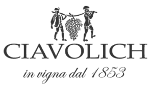 ciavolich logo