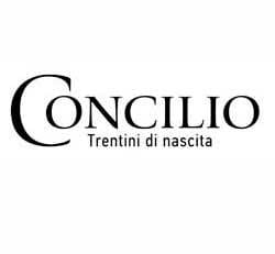 concilio logo