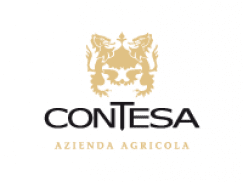 contesa logo