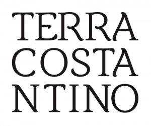 costantino logo