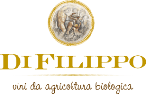 di filippo logo