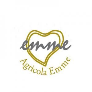 emme logo