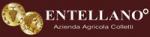 entellano logo