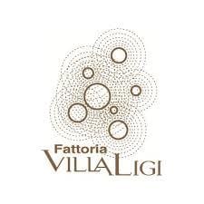 fattoria villa ligi logo