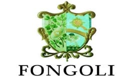 fongoli logo