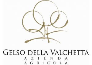 gelso della valchetta logo