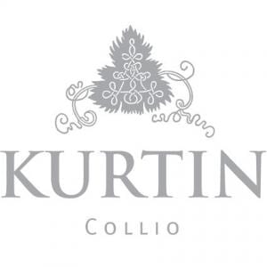 kurtin logo