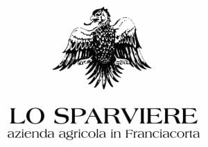 lo sparviere logo