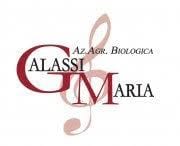 maria galassi logo