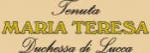 maria teresa logo