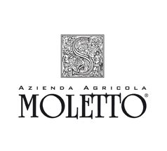 moletto logo