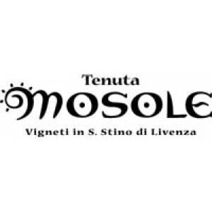 mosole logo