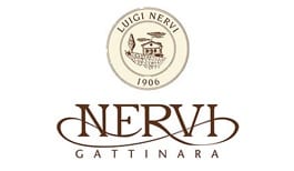 nervi logo