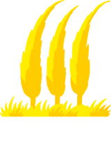 paolo caccese logo