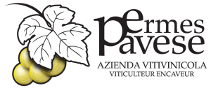 pavese ermes logo