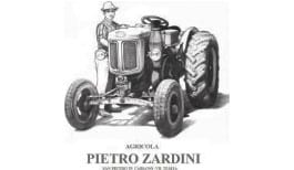 pietro zardini logo