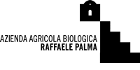 raffaele palma logo