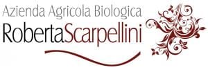 scarpellini logo