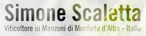 simone scaletta logo