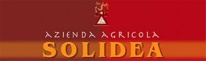 solidea logo