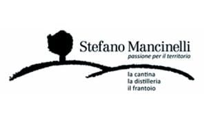 stefano mancinelli logo