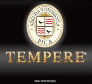 tempere logo