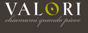 valori logo