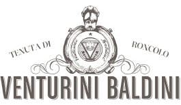 venturini baldini logo