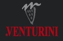 venturini logo