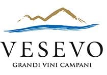 vesevo logo