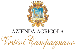 vestini campagnano logo