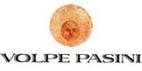 volpe pasini logo