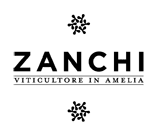 zanchi logo