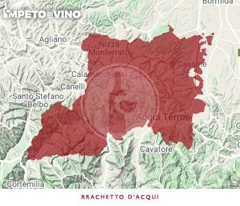 brachetto d acqui o acqui docg logo