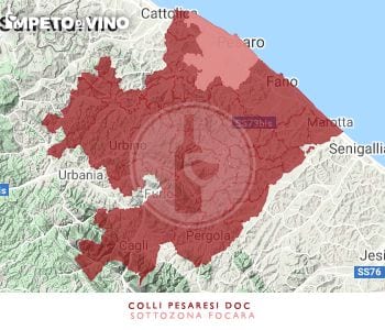 colli pesaresi doc sottozona focara logo