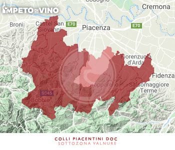 colli piacentini doc sottozona valnure logo