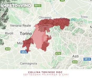 collina torinese doc sottozona pelaverga o cari logo