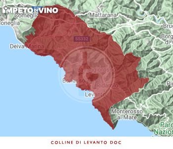 colline di levanto doc logo